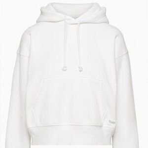Aritzia TNA Cozy Fleece Boyfriend Fit Hoodie